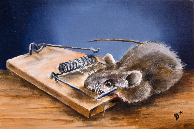 151 [i was killed for food]