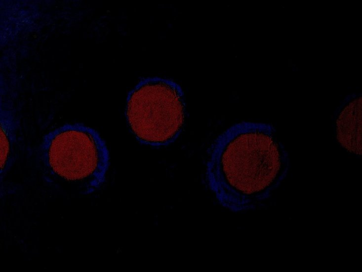 Mysterieus licht in de zomer van 2006