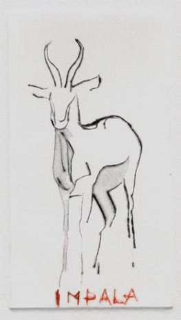 impala