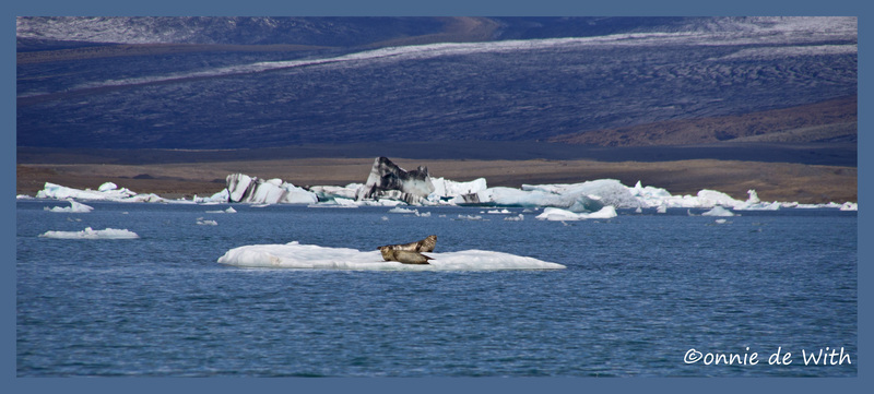 Jökulsárlón 3