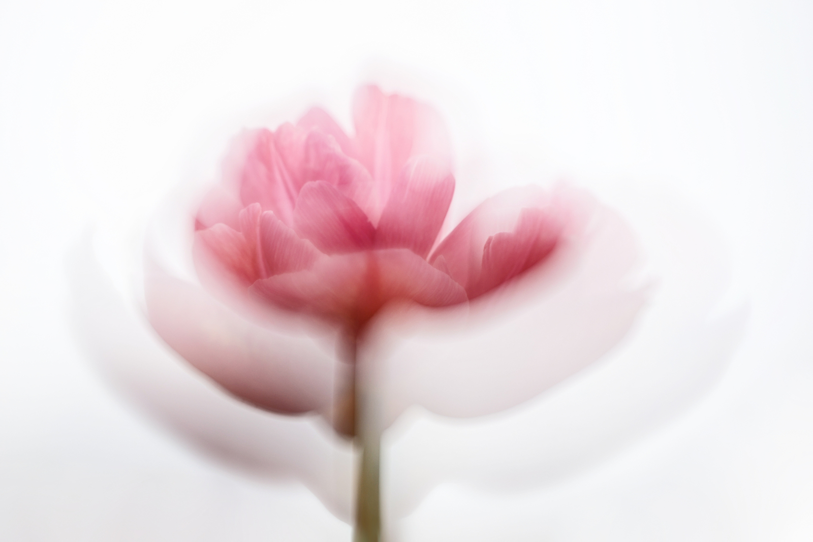 April 2026 (3)