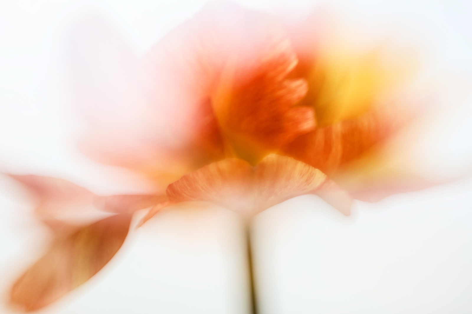April 2026 (5)