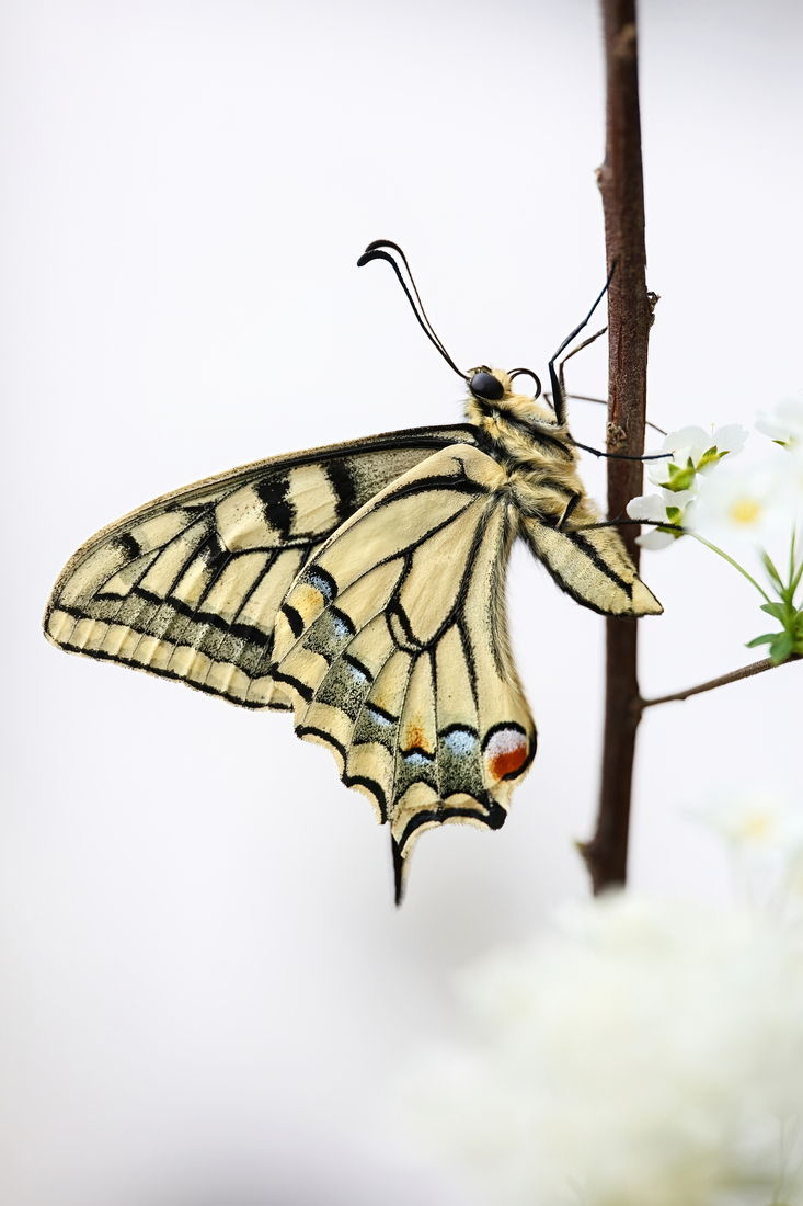 April 2026 (11)