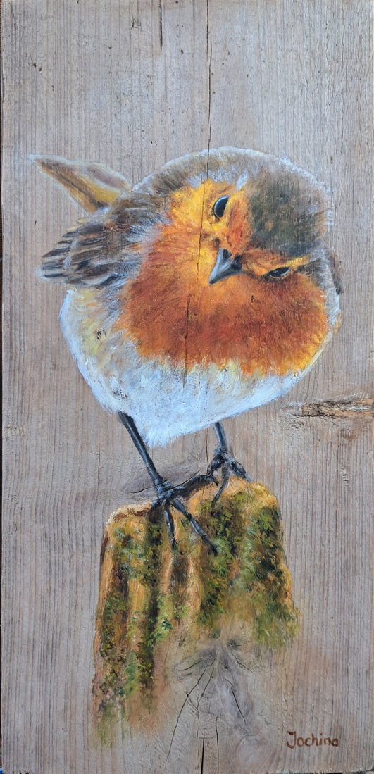 Curious bird