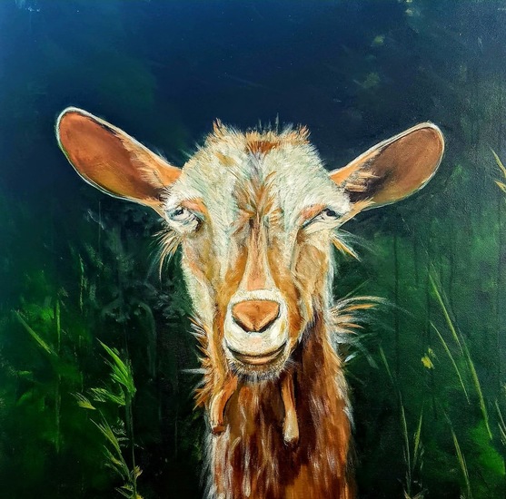 Skopelos  Goat