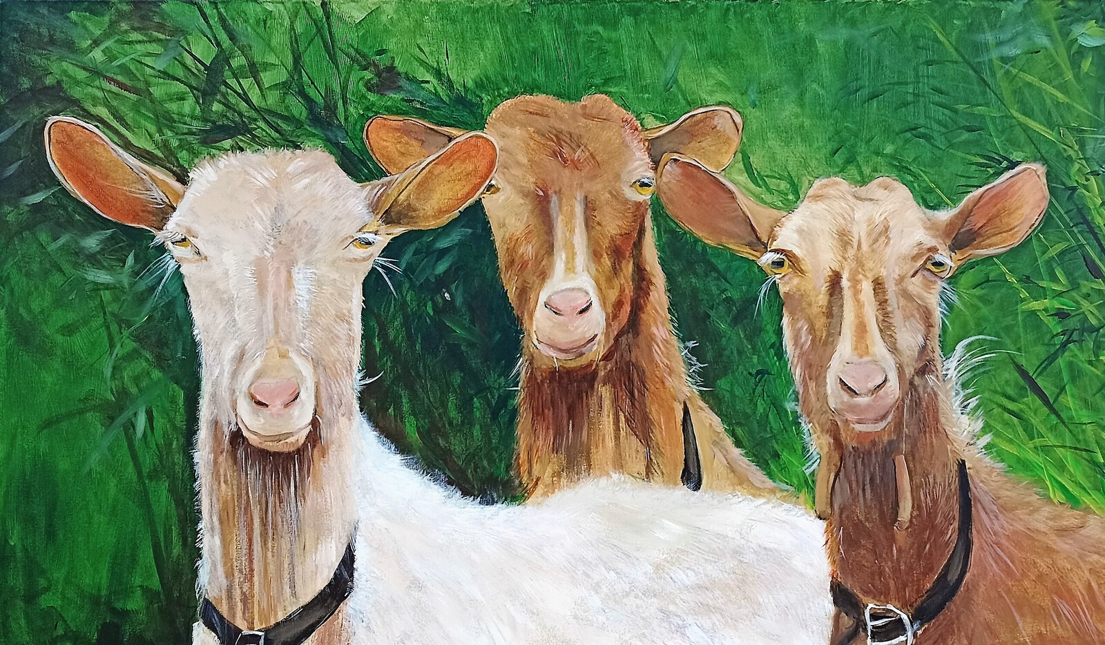 Skopelos Goats no. 150123