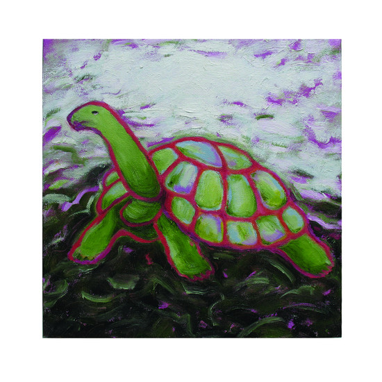 Schildpad