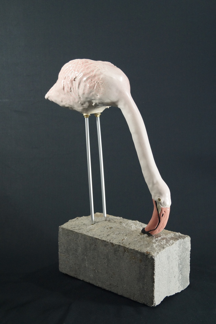 Foeragerende Flamingo