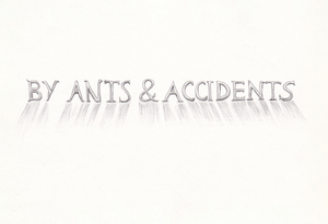 'By ants & accidents', 2024,  kleurpotlood op papier, 21 x 14 cm