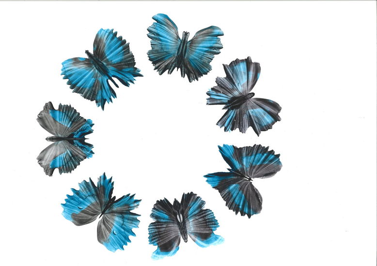 zwart-blauwe vlinder