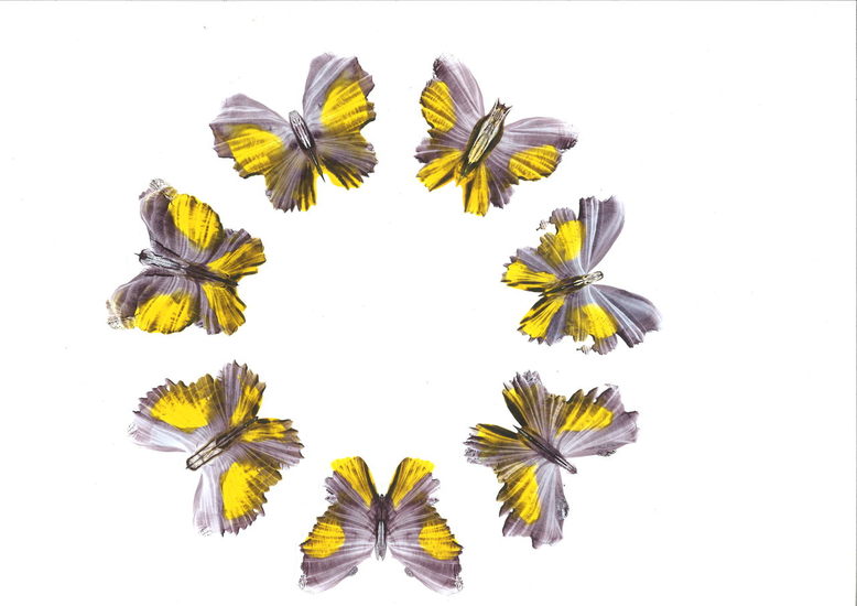 geel paarse vlinder