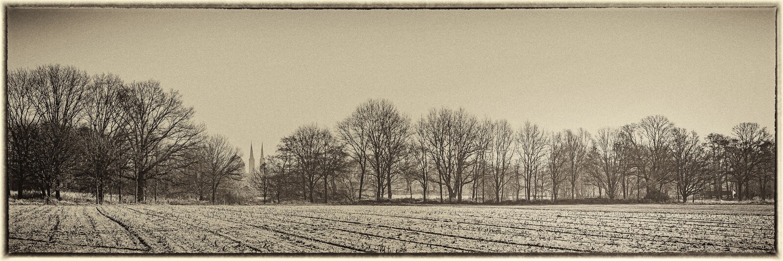 Natuurgebied Maashorst