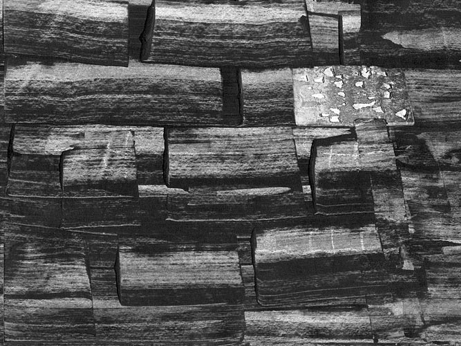 Mémoire involontaire (1)