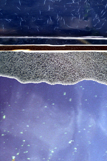 Morning at the seaside