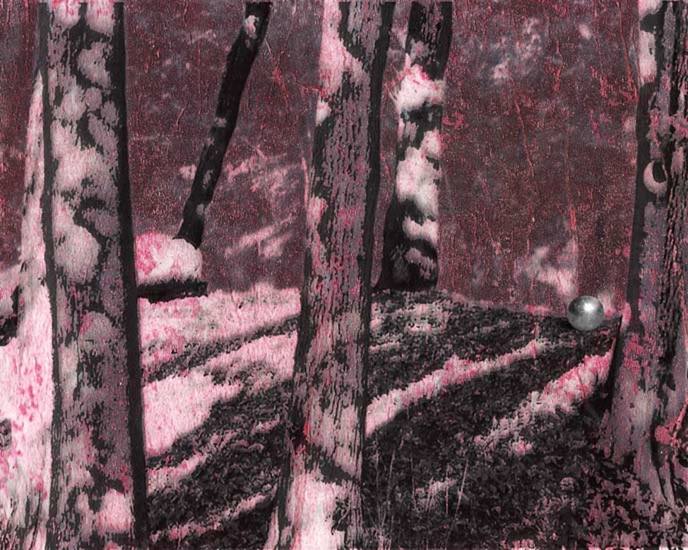 Mémoire involontaire (2)