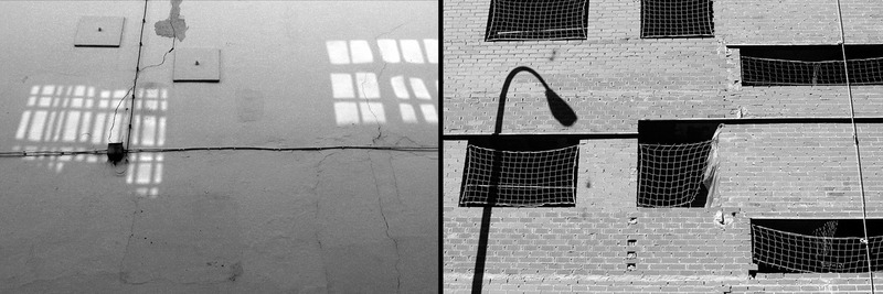 Window bars and netting diptych