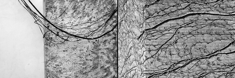 Wall decoration diptych