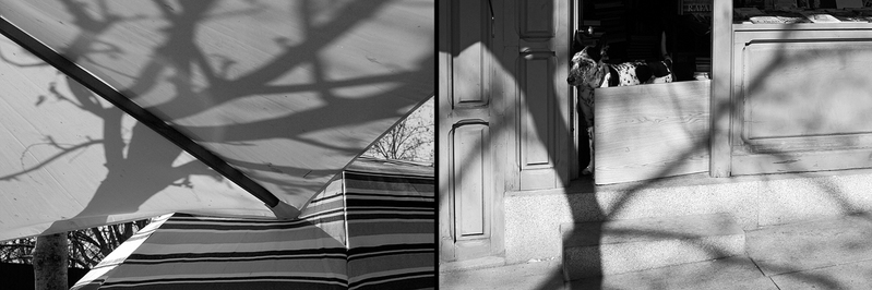 Broken shadows diptych