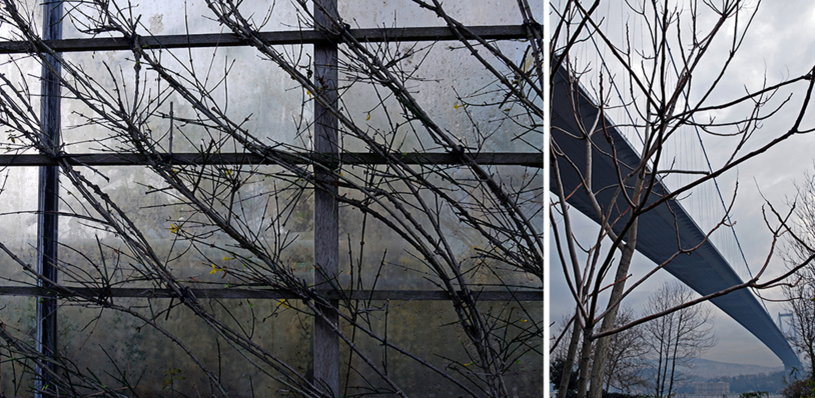 Connections diptych 2