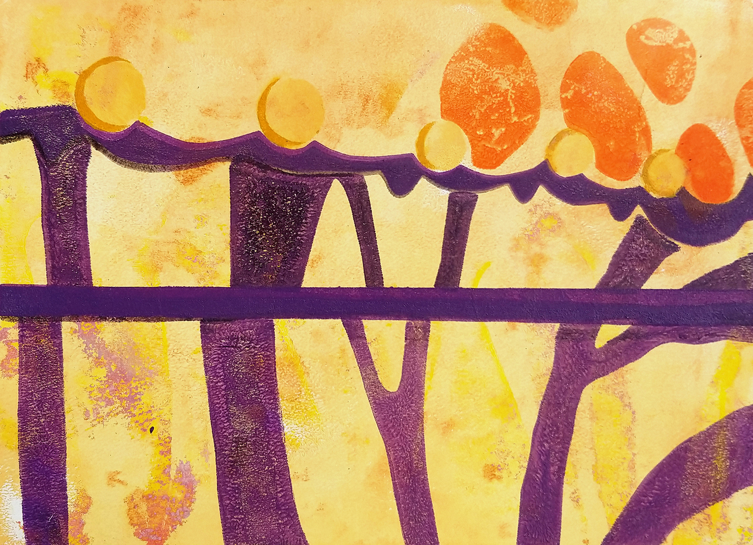 Von Siebold garden (1)