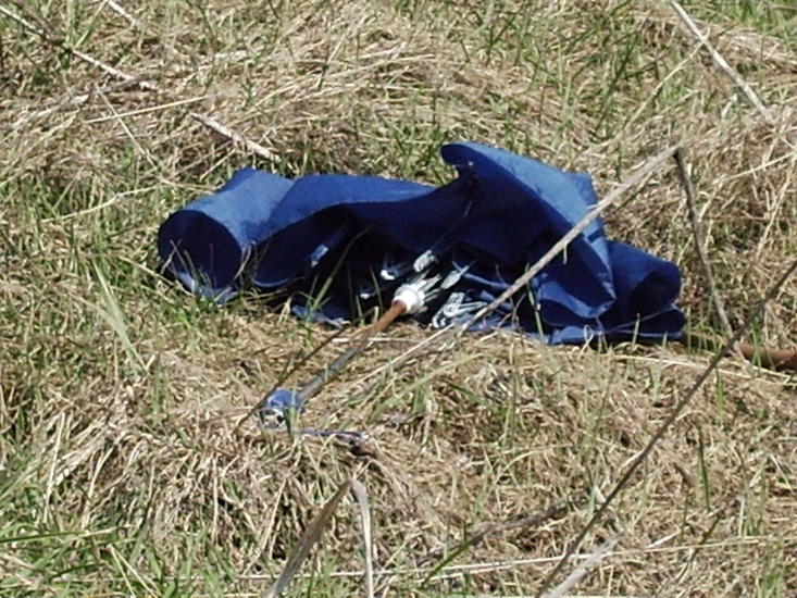 blauw in dor gras