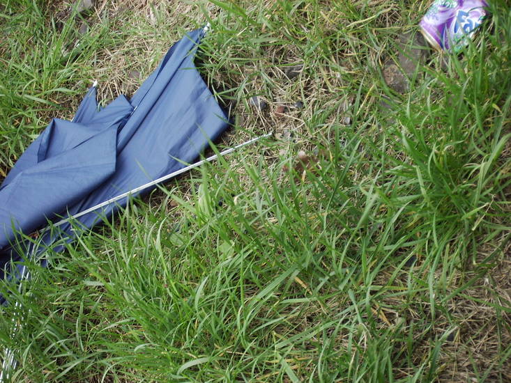 stuk in gras