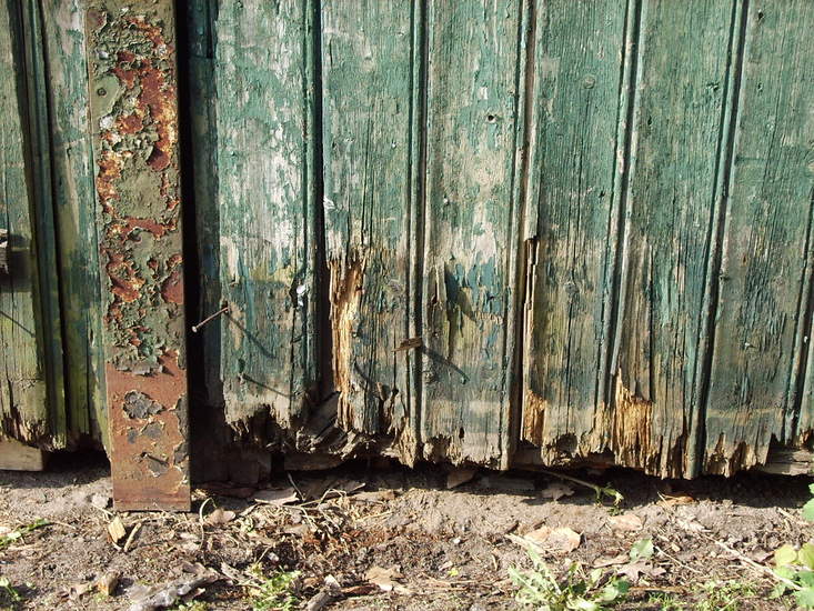 oud hout II