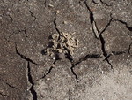 zand en gras