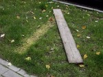 plank en gras