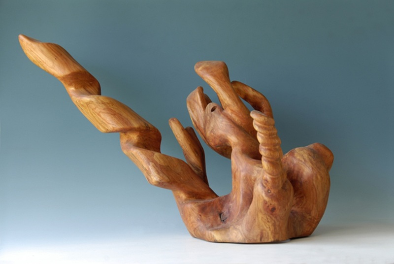 Het brandende braambos