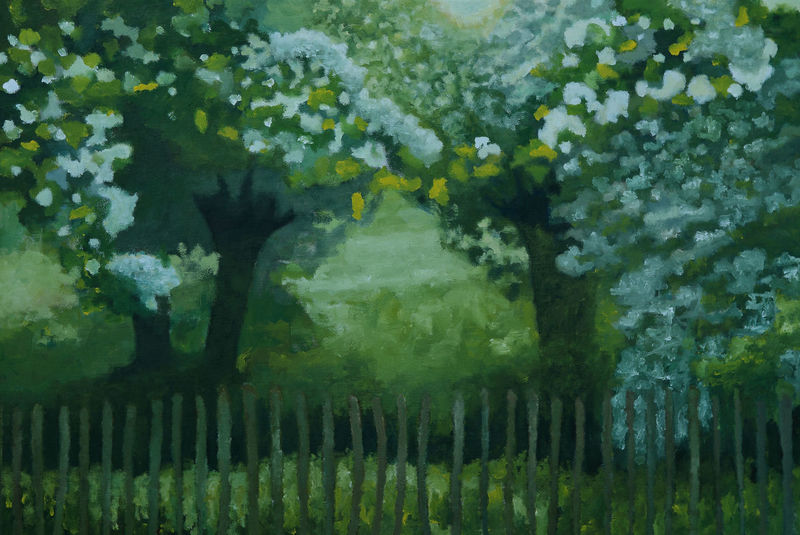 Meidoorn bij schapenhekje