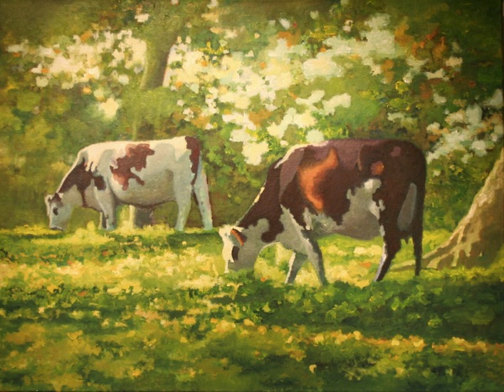 Koeien in Normandië