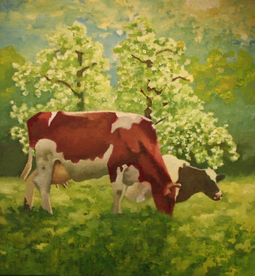 Koeien met fruitbomen