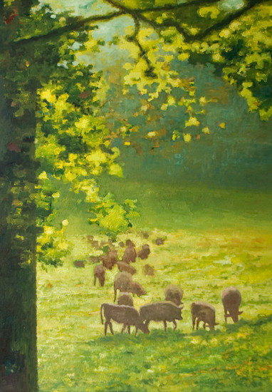 Landschap met koeien