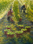 schilderijen van druivenplukkers - olieverf op linnen - als wijnliefhebber geniet ik van dit onderwerp - van druiven - oogst tot eindproduct