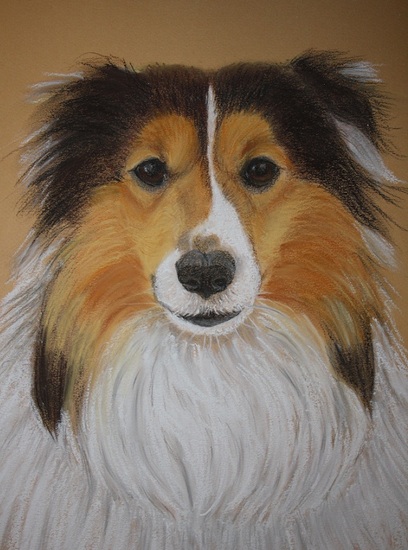 Portret van Shelty Bandhu