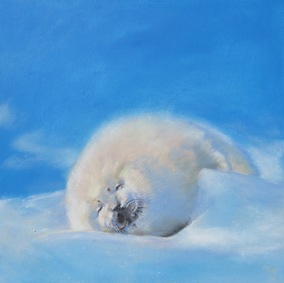 Zeehond in de sneeuw