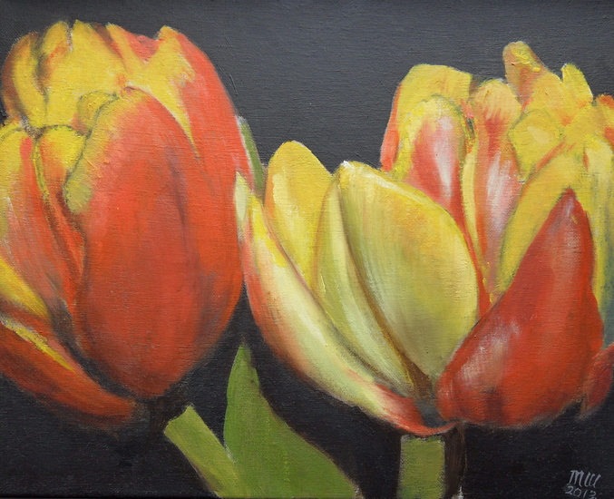Tulpen