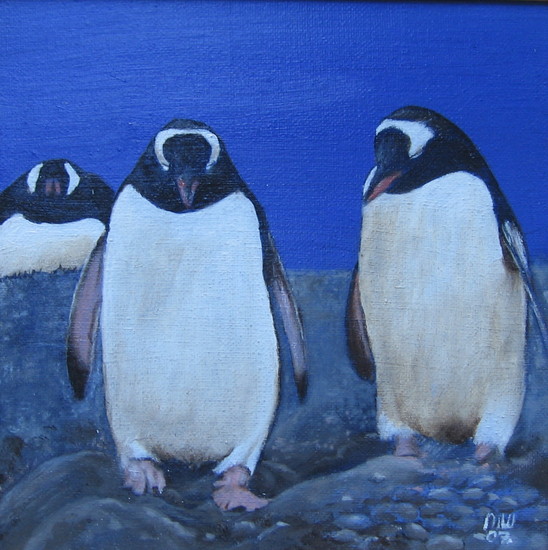 Pinguins