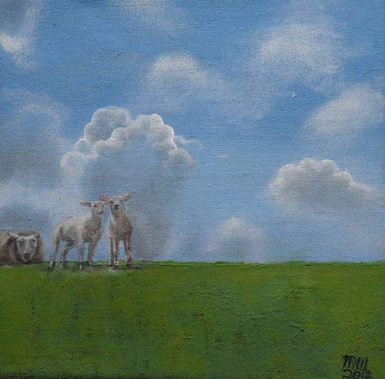 Schapen in de wei