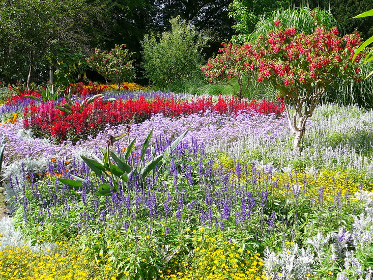 Kleinbeeld digitaal print