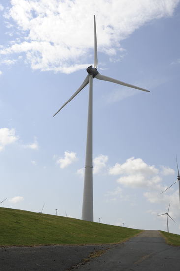 Kleinbeeld digitaal print