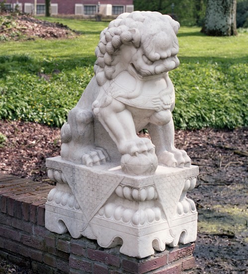 Kleinbeeld print Kleur negatief