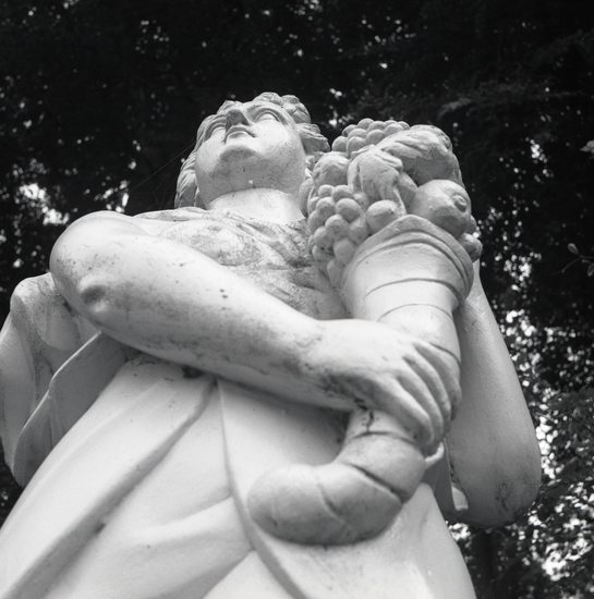 Zwart/Wit opname 6x6