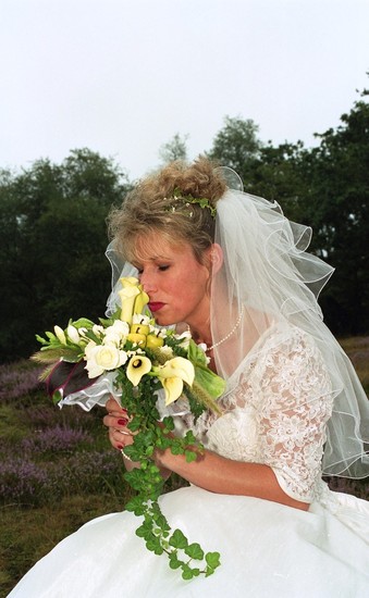 kleinbeeld kleur negatief