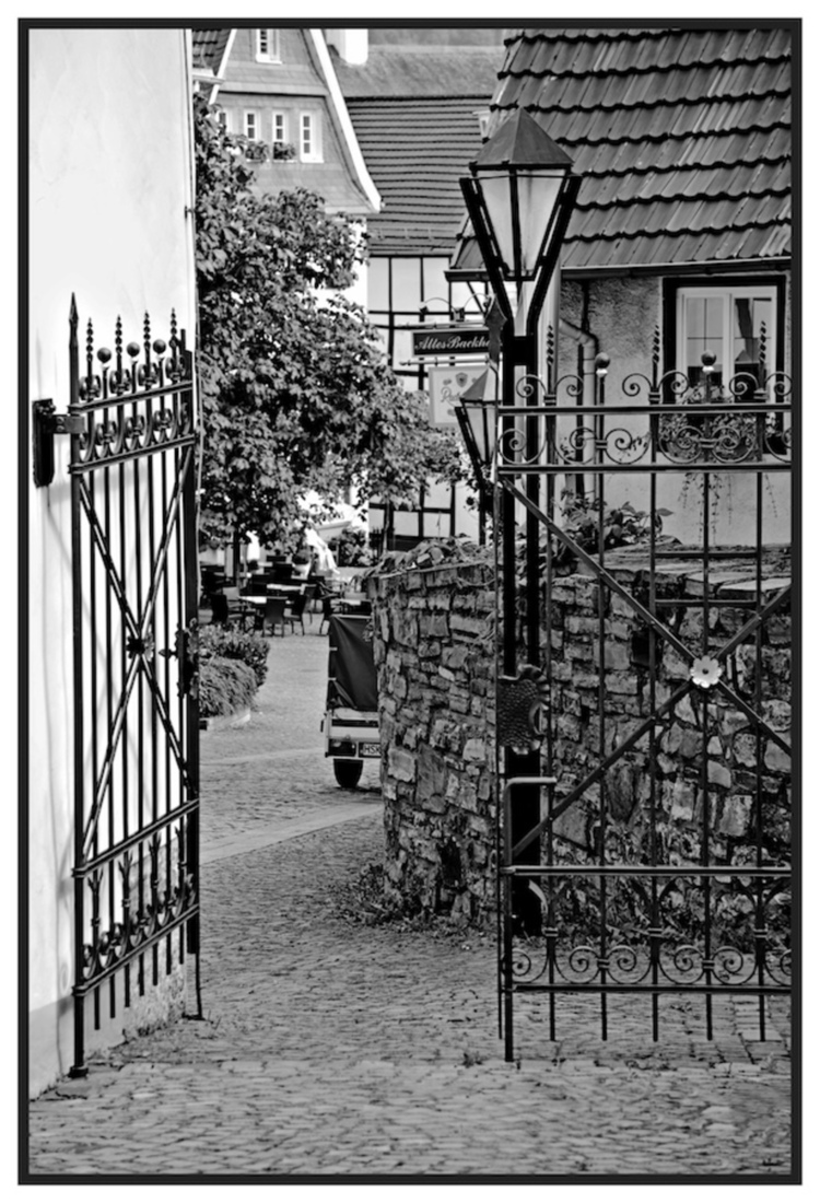 Rolleiflex 6008 integral