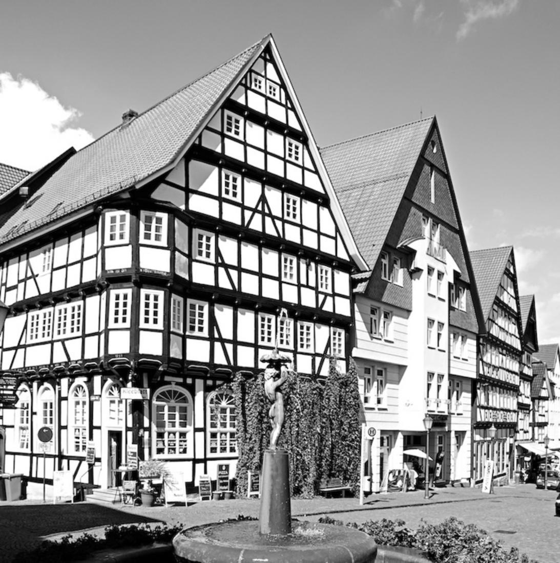 Rolleiflex 6008 integral