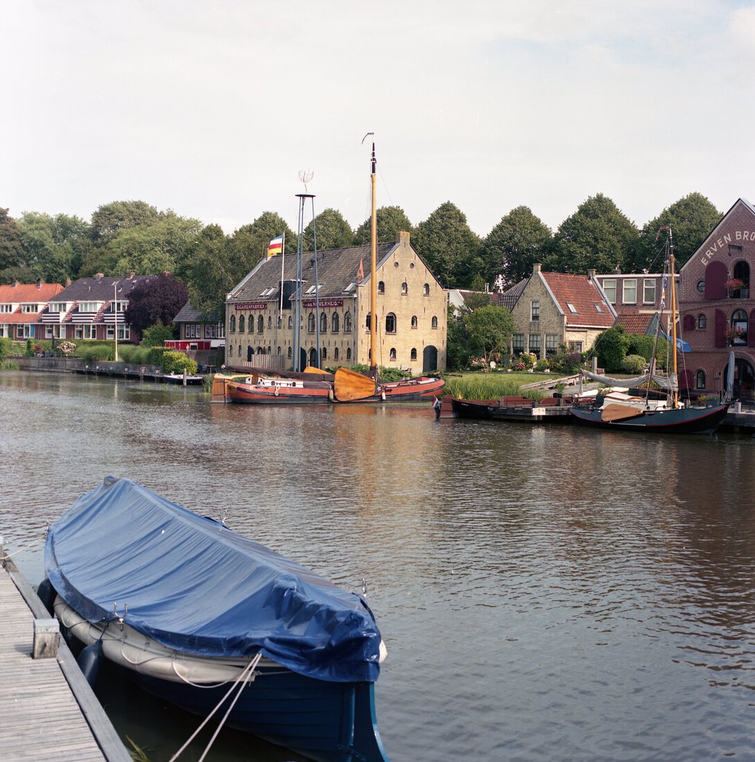 Dokkum