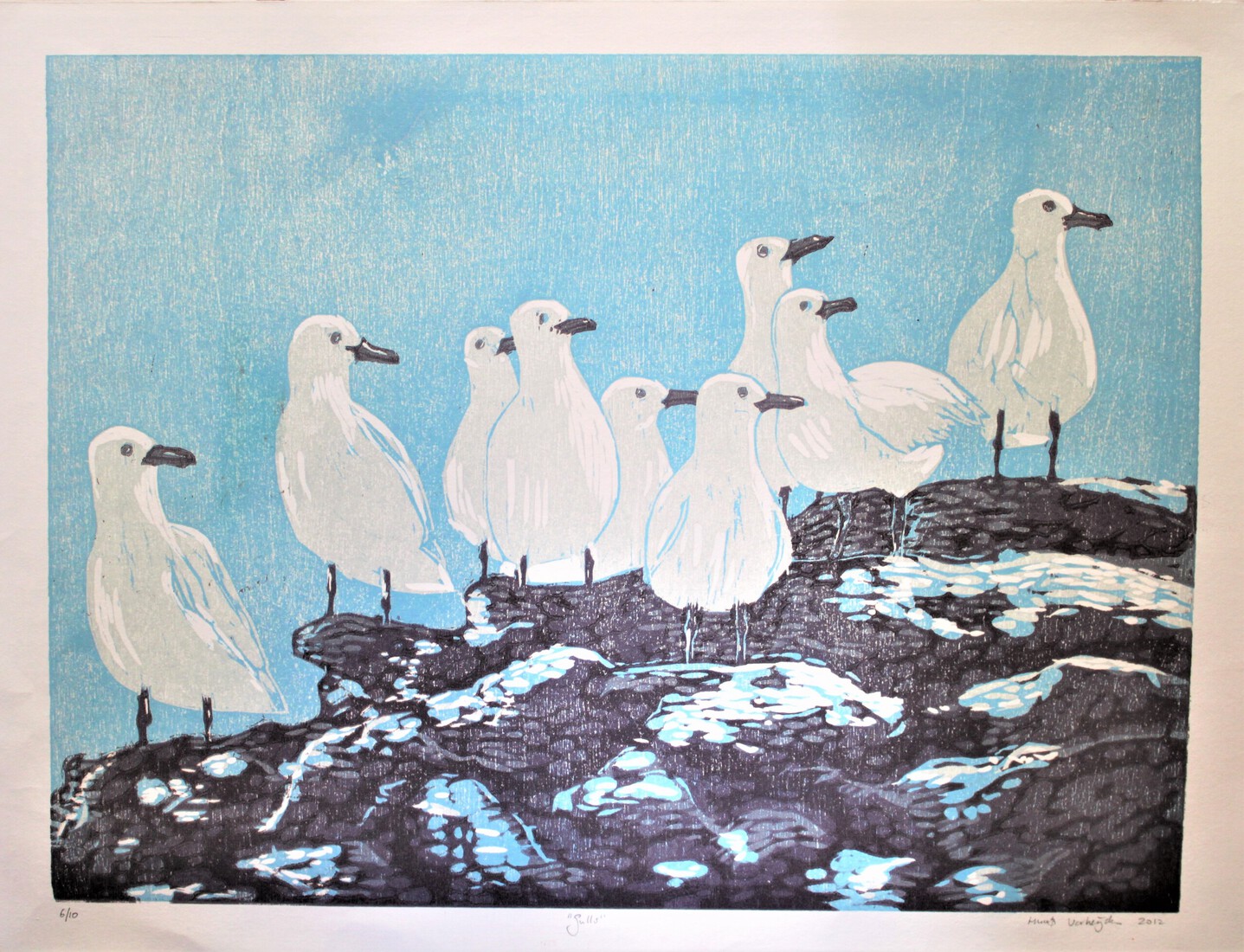 Gulls
