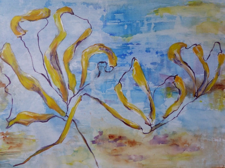 Zwevend in het water